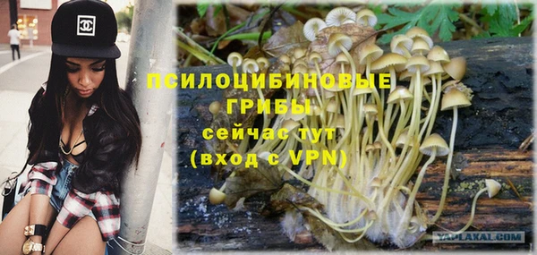 мяу мяу мука Вязники