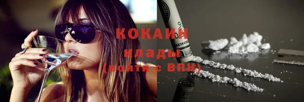 прущая мука Вяземский