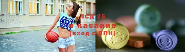 прущая мука Вяземский