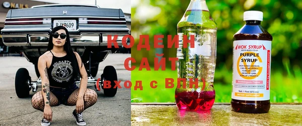 прущая мука Вяземский