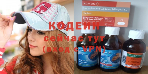 прущая мука Вяземский