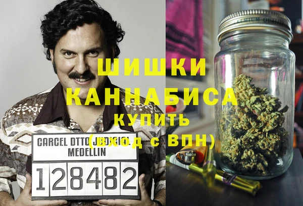 прущая мука Вяземский